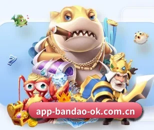 半岛平台围绕看球场景设计的核心服务